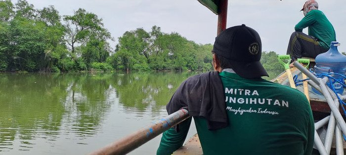 Upaya LindungiHutan Rehabilitasi Mangrove di Kota Pesisir (Sumber: LindungiHutan)