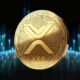 Webus Akan Investasi USD $300 Juta di XRP (Sumber: NANOVEST)