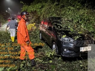 Hujan Deras Landa Tangsel: Pohon Tumbang dan Genangan Air Terjadi di Sejumlah Wilayah