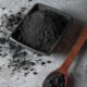 Biomassa Charcoal (Biochar)