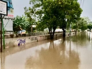 Hujan deras sebabkan banjir di 22 titik dan longsor di Tangsel. Ratusan KK terdampak, puluhan warga mengungsi. BPBD terus lakukan evakuasi.