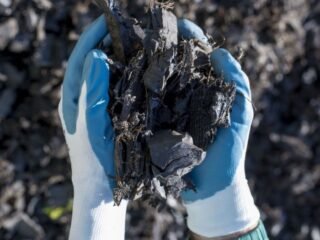 berbagai jenis biochar