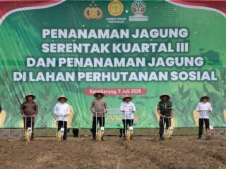 Polda Banten tanam jagung serentak kuartal III di 93 lokasi dukung ketahanan pangan, libatkan Pemprov, TNI, tokoh agama, dan petani.