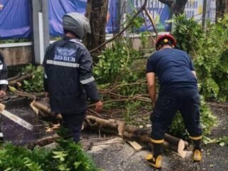 Hujan deras disertai angin kencang di Kota Tangerang sebabkan pohon tumbang di tiga kecamatan, rusak kendaraan, dan ganggu lalu lintas.