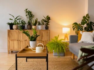 5 tanaman hias pemurni udara yang cantik, sehat, dan mudah dirawat, membuat rumah terasa lebih segar dan nyaman setiap hari.