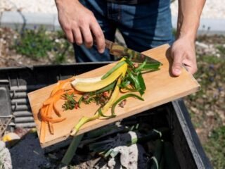 Eit, Jangan Buang Sisa Makananmu! Yuk, Ikut Lomba Masak Anti Food Waste dari Badan Pangan Nasional!