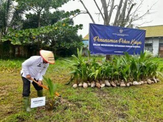 Kanwil Ditjenim Jambi bersama Ditjenpas tanam 5.000 bibit kelapa di Lapas Kuala Tungkal sebagai dukungan ketahanan pangan nasional.
