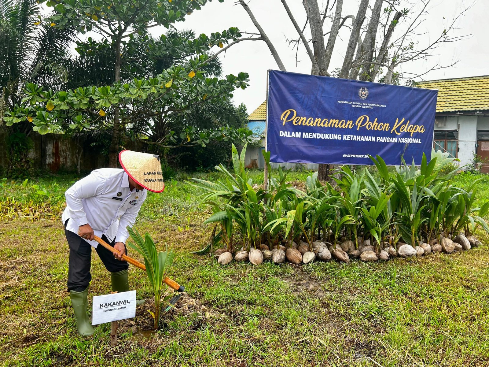 Kanwil Ditjenim Jambi bersama Ditjenpas tanam 5.000 bibit kelapa di Lapas Kuala Tungkal sebagai dukungan ketahanan pangan nasional.