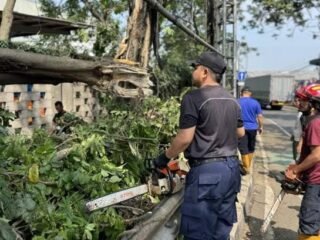 BPBD Kota Tangerang tangani banjir dan pohon tumbang akibat hujan deras. Kondisi kini berangsur pulih, warga kembali beraktivitas.