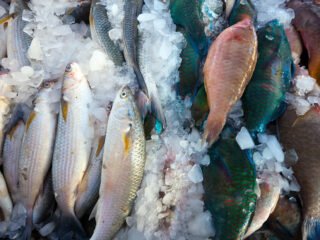 Waspada! 6 Makanan Ini Rentan Menyerap Logam Berat dari Lingkungan