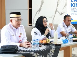 Wabup Intan dorong inovasi kecamatan, kader, dan Puskesmas agar penurunan stunting di Kabupaten Tangerang lebih efektif.