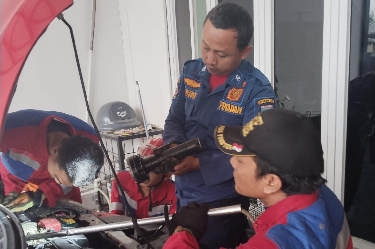 Damkar Kota Tangsel tangani 203 kasus penyelamatan 2025, mulai evakuasi hewan, kecelakaan, hingga pohon tumbang.