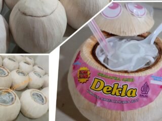 Buah Kelapa Jelly Dekla Khalapha Amih: Sensasi Segar dari Balaraja yang Tuai Pujian Artis dan Tokoh Penting
