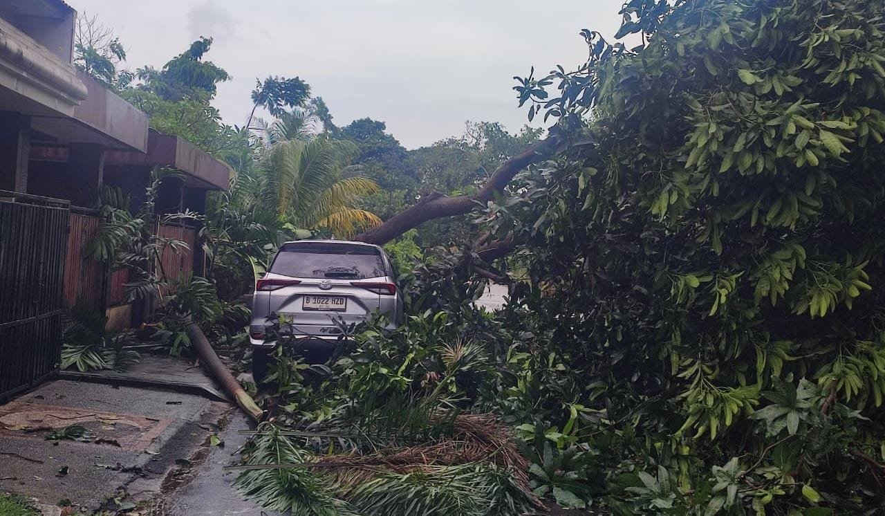 Hujan deras dan angin kencang di Tangsel sebabkan pohon tumbang, menimpa mobil, warga dan petugas bersihkan jalan.