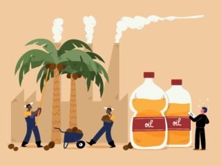 Industri kelapa sawit Indonesia berperan besar bagi ekonomi, energi, dan kesejahteraan, namun tantangan keberlanjutan tetap mengiringi.