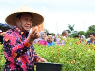 Bupati Tangerang Maesyal Rasyid Hadiri Panen Raya Cabai Setan Ori 212 di Legok