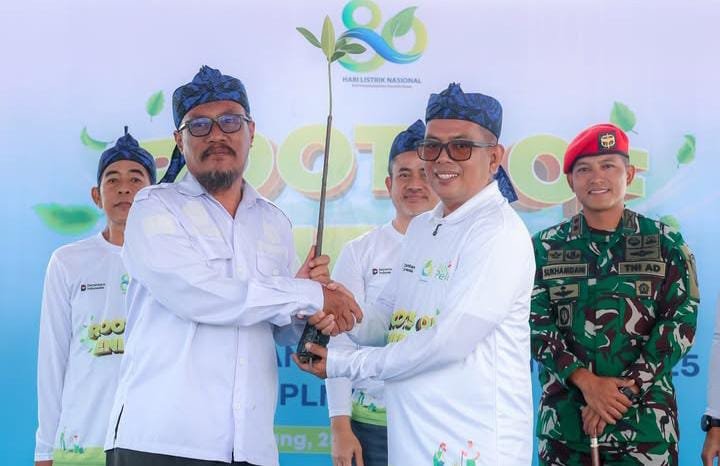 Gubernur Banten Andra Soni ajak masyarakat jaga pesisir lewat penanaman mangrove berkelanjutan dan apresiasi sinergi PLN.