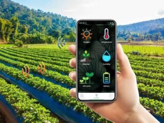 Cyber Agriculture: Ketika Pertanian Bertemu Dunia Digital