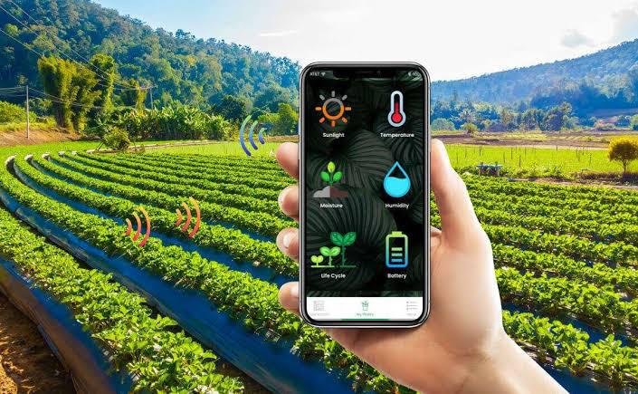 Cyber Agriculture menggabungkan pertanian dan teknologi digital untuk meningkatkan efisiensi, produktivitas, dan kesejahteraan petani.