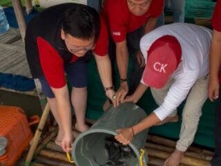 Abraham Garuda Tebar 79 Kg Ikan di HUT ke-79 Megawati, Danau Kelapa Dua Jadi Simbol Pangan Rakyat