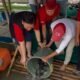 Abraham Garuda menebar 79 kg ikan di Danau Kelapa Dua saat HUT ke-79 Megawati sebagai simbol ketahanan pangan rakyat.
