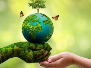 Dinas Lingkungan Hidup sebagai Pilar Pengelolaan Lingkungan Berkelanjutan