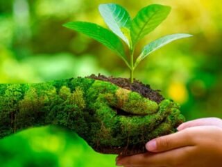 Dinas Lingkungan Hidup sebagai Fondasi Pembangunan Daerah Berwawasan Lingkungan