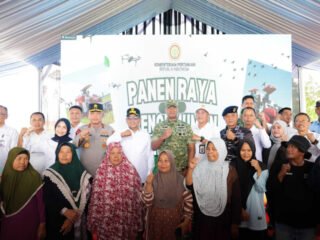 Produksi Padi Banten Naik 16,84 Persen pada 2025, Andra Soni Ungkap Peran Kebijakan Presiden