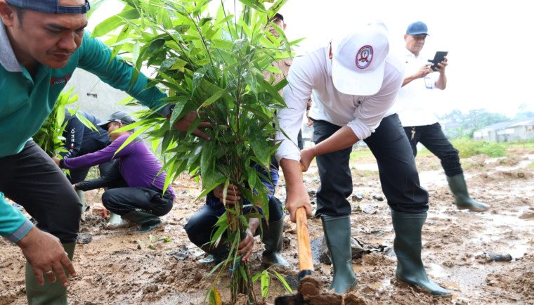 Bupati Tangerang menanam bambu di RTH Cisoka sebagai awal pengembangan ruang hijau berbasis identitas daerah dan ekonomi kreatif.