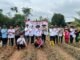 Polsek Tigaraksa dan BUMDes Desa Pete tanam jagung hibrida di lahan 2 hektare, dukung Program Ketahanan Pangan Nasional.