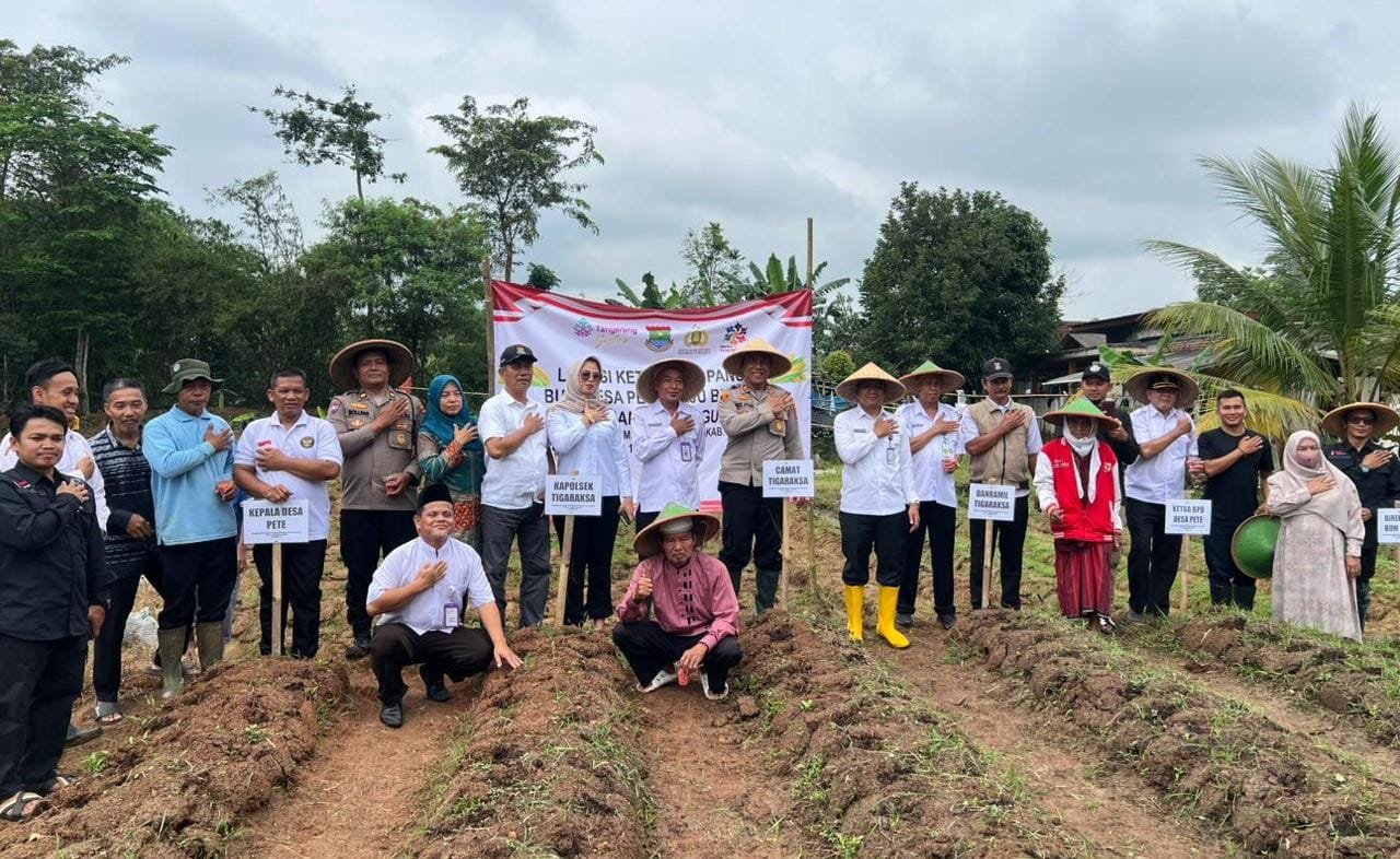 Polsek Tigaraksa dan BUMDes Desa Pete tanam jagung hibrida di lahan 2 hektare, dukung Program Ketahanan Pangan Nasional.