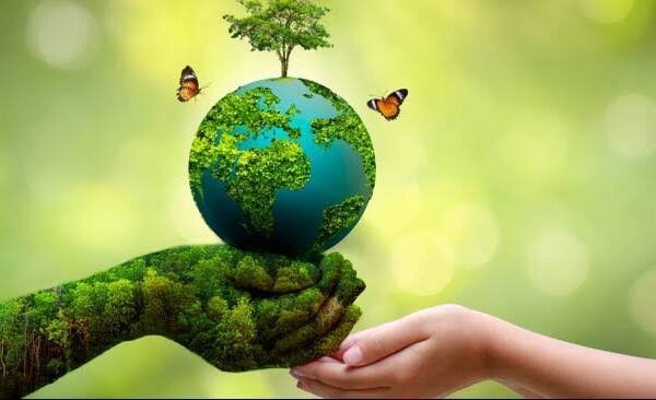 Optimalisasi Kinerja Dinas Lingkungan Hidup untuk Mendukung Pembangunan Berkelanjutan