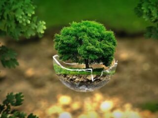 Komitmen Dinas Lingkungan Hidup dalam Menjaga Kualitas Lingkungan Perkotaan