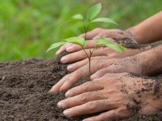 Peran Strategis Dinas Lingkungan Hidup dalam Mendorong Pembangunan Daerah Berkelanjutan