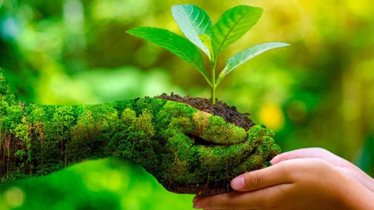 Pemerintah daerah memperkuat program lingkungan berkelanjutan melalui pengelolaan sampah, edukasi publik, dan pengawasan kebijakan.