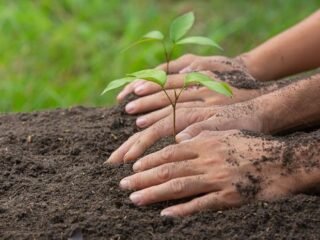 Upaya Dinas Lingkungan Hidup dalam Meningkatkan Kesadaran dan Perlindungan Lingkungan Daerah
