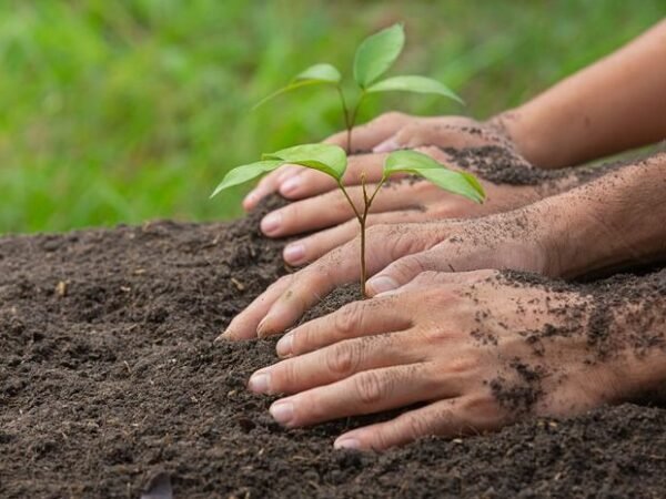 Upaya Dinas Lingkungan Hidup dalam Meningkatkan Kesadaran dan Perlindungan Lingkungan Daerah