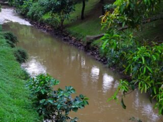 DLH Tangsel Pantau Kualitas Air Sungai Jaletreng Pasca Kebakaran Gudang Pestisida di BSD
