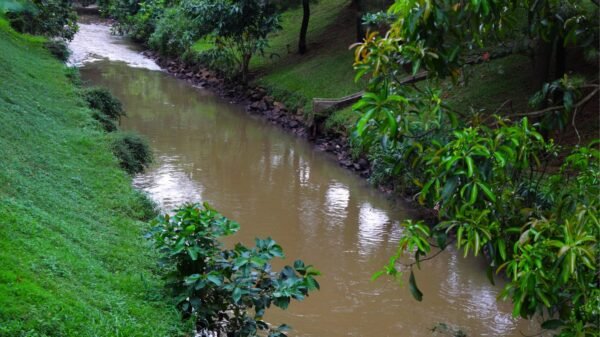 DLH Tangsel memantau kualitas air dan udara pasca kebakaran gudang pestisida di BSD. Dampak terbesar terdeteksi di Sungai Jaletreng.