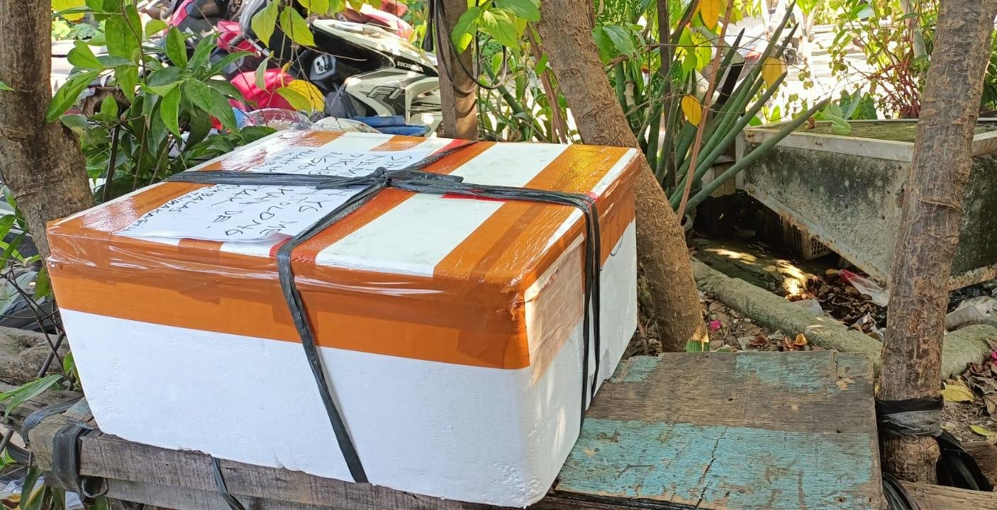 Warga Pasar Kemis panik temukan kotak mencurigakan. Gegana periksa, ternyata berisi bangkai kucing, situasi aman.