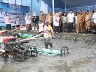 Diupgrade 10 Ton per Hektar, Agis: Sawah Kota Serang Siap Jadi Pilot Project Lumbung Swasembada Pangan