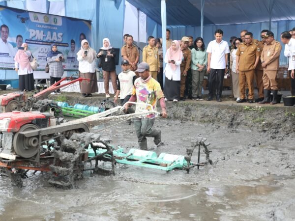Diupgrade 10 Ton per Hektar, Agis: Sawah Kota Serang Siap Jadi Pilot Project Lumbung Swasembada Pangan