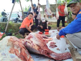 Wakil Wali Kota Serang Monitoring Tebar Kurban Kita Bisa 2026, 1158 Daging Hewan Didistribusikan ke Sejumlah Daerah di Banten