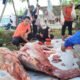 Wakil Wali Kota Serang Monitoring Tebar Kurban Kita Bisa 2026, 1158 Daging Hewan Didistribusikan ke Sejumlah Daerah di Banten