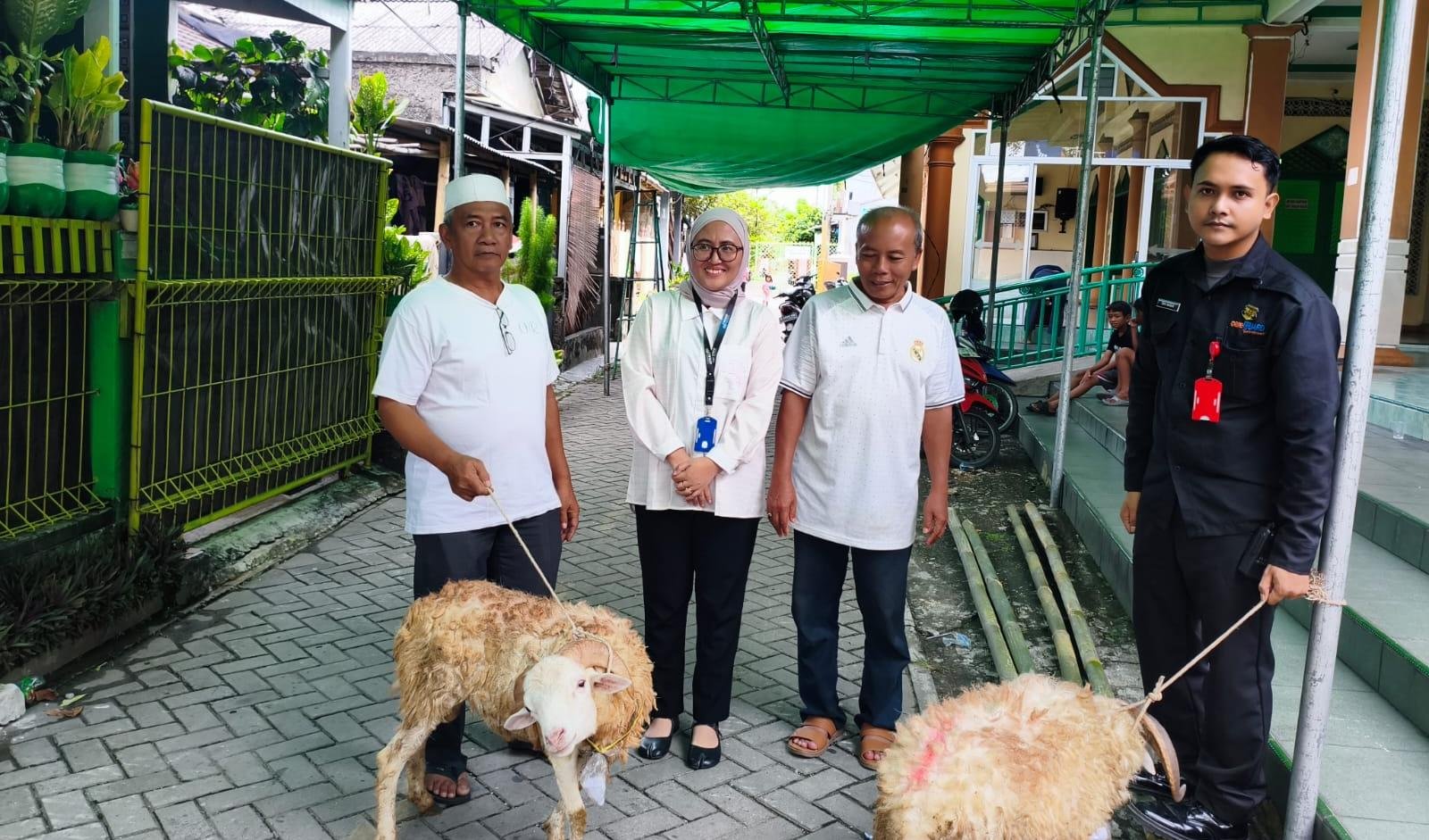 Citiplaza Kutabumi menyalurkan dua ekor domba kurban kepada warga sekitar melalui Masjid Al-Muhajirien jelang Idul Adha 1447 H.