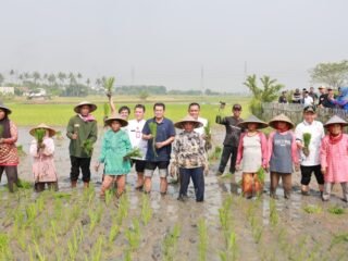 Bupati Tangerang memperkuat ketahanan pangan melalui program NGEMAS serta bantuan pertanian bagi petani di Sepatan.