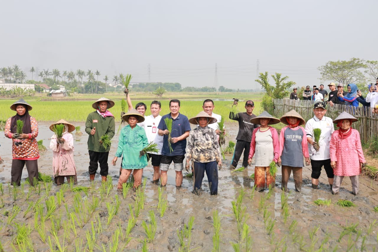 Bupati Tangerang memperkuat ketahanan pangan melalui program NGEMAS serta bantuan pertanian bagi petani di Sepatan.