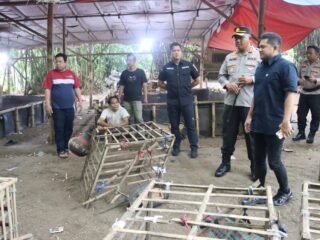 Kapolresta Tangerang memimpin langsung penggerebekan arena judi sabung ayam di Pabuaran, Jayanti, dua orang diamankan.