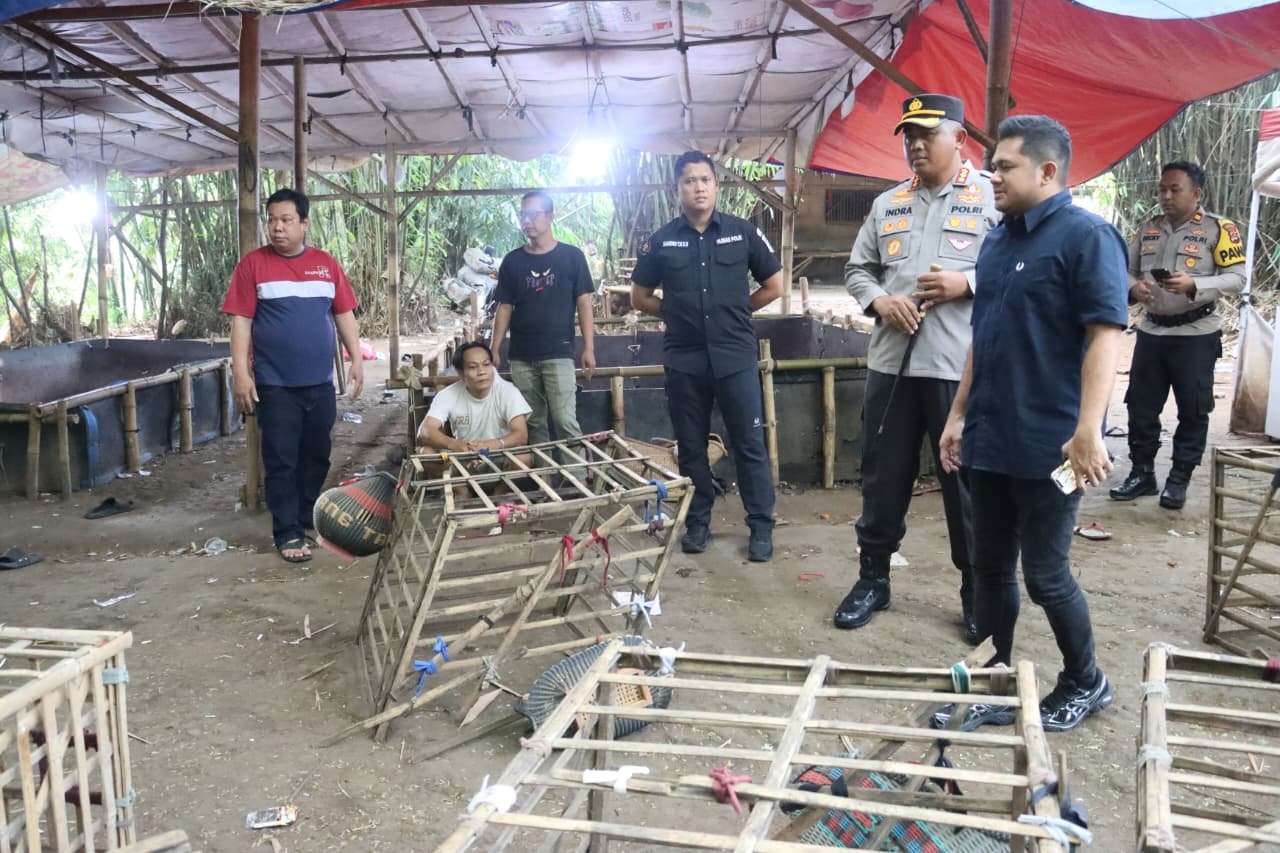 Kapolresta Tangerang memimpin langsung penggerebekan arena judi sabung ayam di Pabuaran, Jayanti, dua orang diamankan.