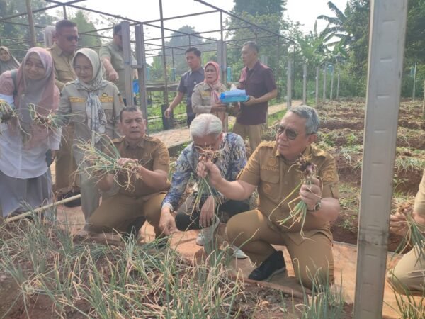Panen Perdana Bawang Merah Varietas Batu di Tangsel, Benyamin Siap Kaji Kerja Sama Pengembangan Pupuk Mikroba